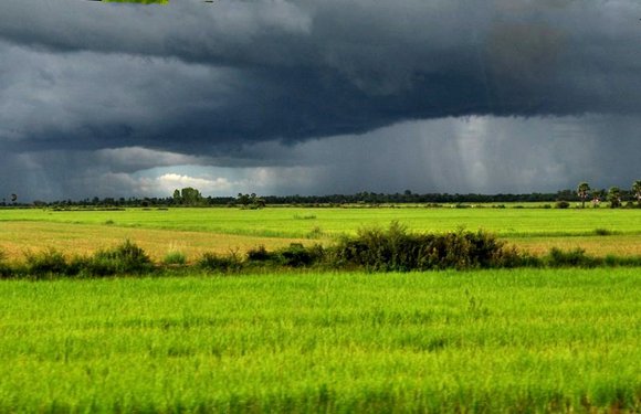 کھیتوں پر بارش سے مزید بارشیں بڑھتی ہیں، ماہرین