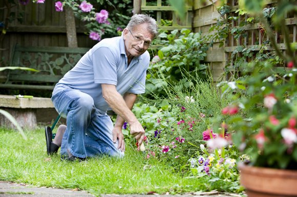 باغبانی کا مشغلہ اپنائیں اور بیماریوں سے دور رہیں، جدید تحقیق