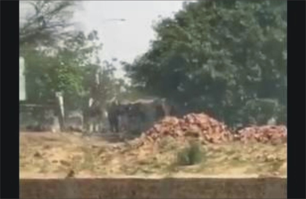 گجرات : شادیوال میں پولیس ملازمین کا طالبعلم پر بیہمانہ تشدد