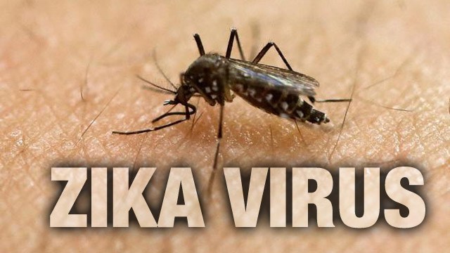 زیکا وائرس نے امریکا کے بعد افریقا میں بھی پنجے گاڑھ لئے