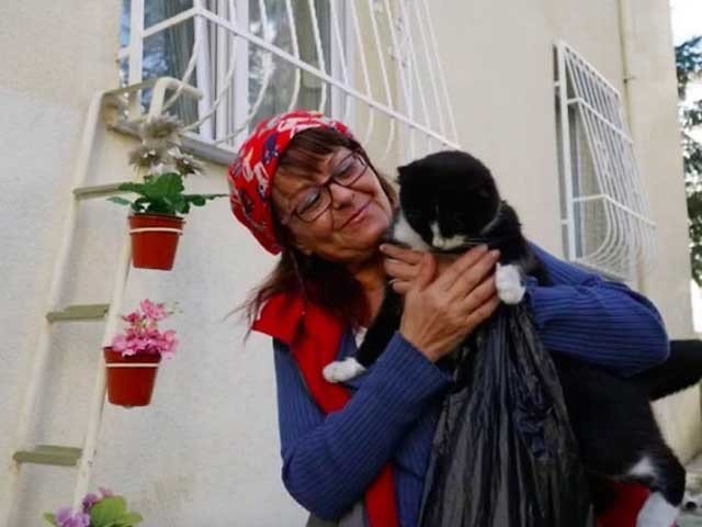 ترک خاتون نے بلیوں کو سردی میں اپنے گھرلانے کے لیے خاص سیڑھی بنادی