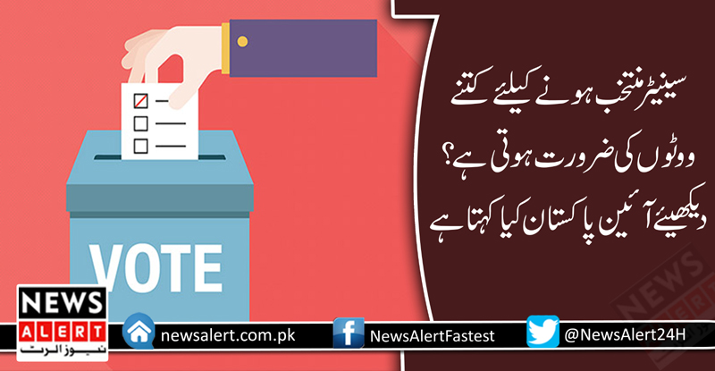 سینیٹ الیکشن کے لئے پولنگ کا عمل جاری ۔آئین پاکستان کیا کہتا ہے؟