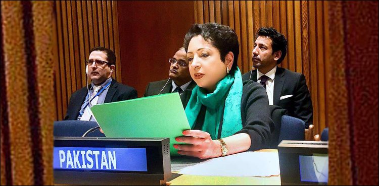 اقوام متحدہ میں مستقل مندوب ملیحہ لودھی کو عہدے سے ہٹادیا گیا