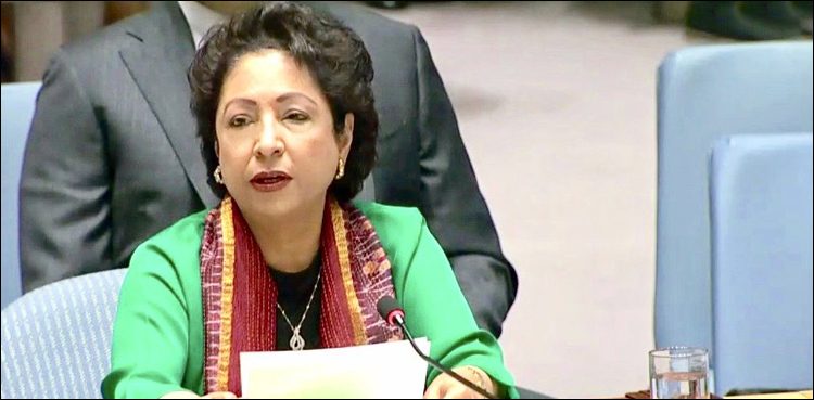 پاکستان کا سلامتی کونسل کا ہنگامی اجلاس بلانے کا مطالبہ