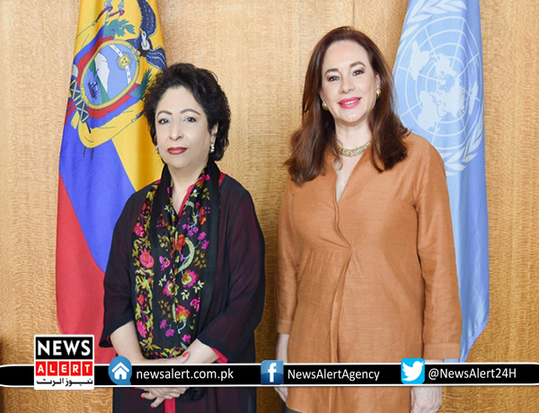 ملیحہ لودھی کی اقوام متحدہ میں جنرل اسمبلی کی صدرسے ملاقات