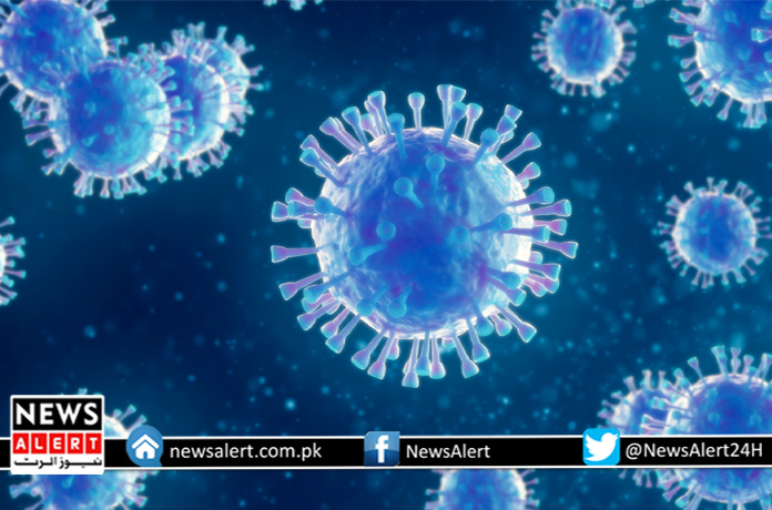 کورونا وائرس سے مزید 74 ہلاکتیں، مثبت کیسز کی شرح 8۔8 فیصد رہی۔