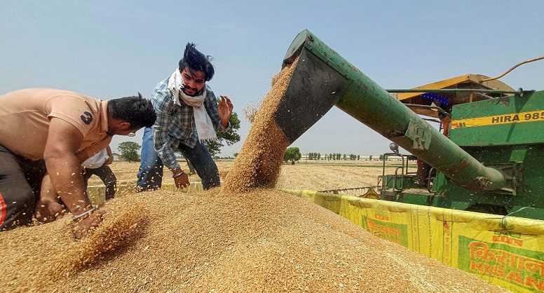 مقامی قیمت سے مہنگی 10 لاکھ ٹن گندم درآمد کیے جانے کا انکشاف