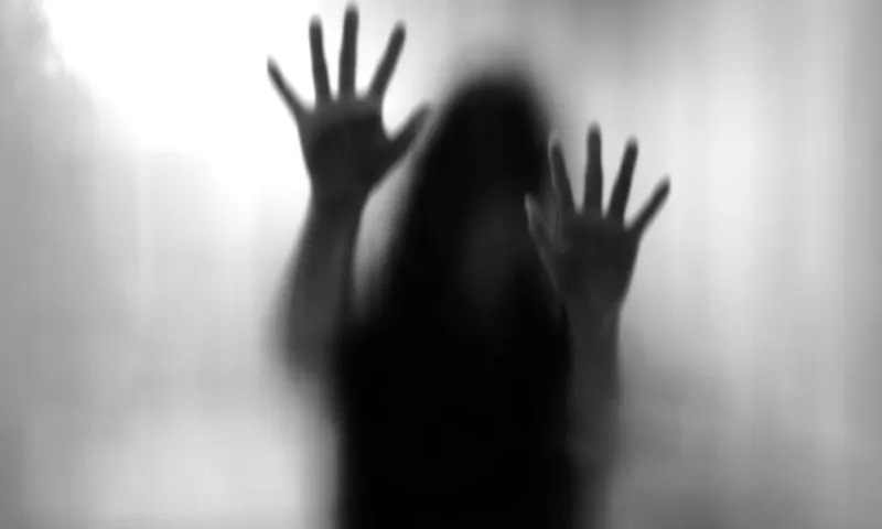 گھریلو ملازمہ کیساتھ مبینہ جنسی زیادتی